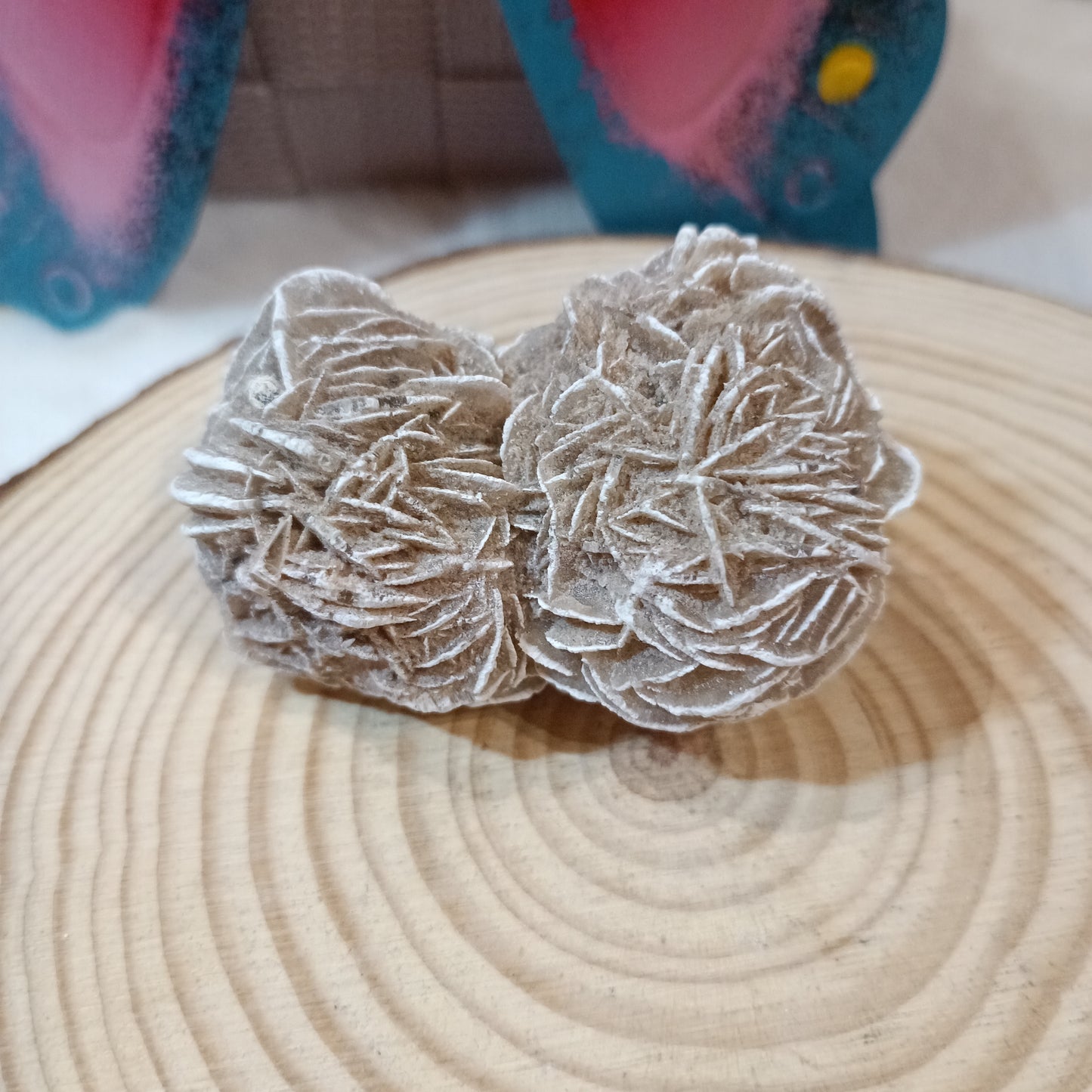 Rosa del Desierto