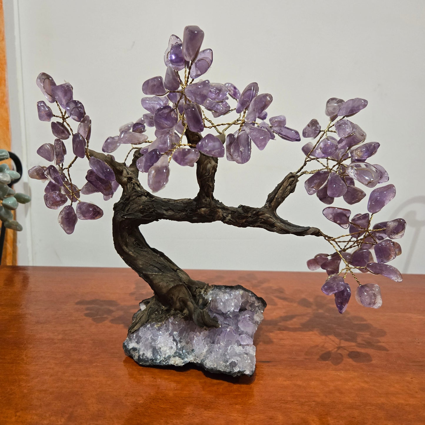Árbol de la vida